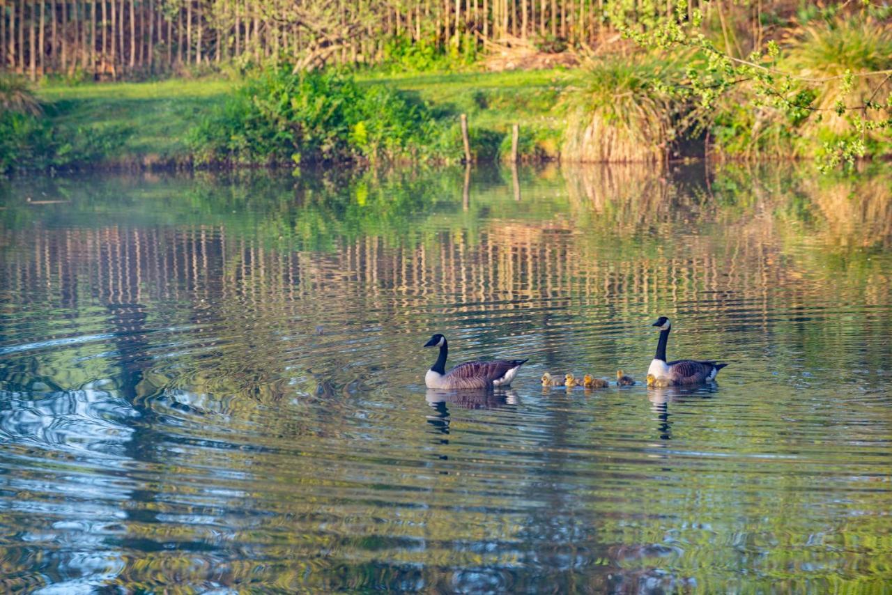 Rosefinch Sleeps 2 Persons-Private Hot Tub-Tranquil Holiday Away From It All Yet Not Far From St Austell- The Holiday Home Has One Bedroom, Living And Dining Area, Equipped Kitchen-Decking-Outdoor Furniture-Fishing Lakes-Non Pet Unit 외부 사진